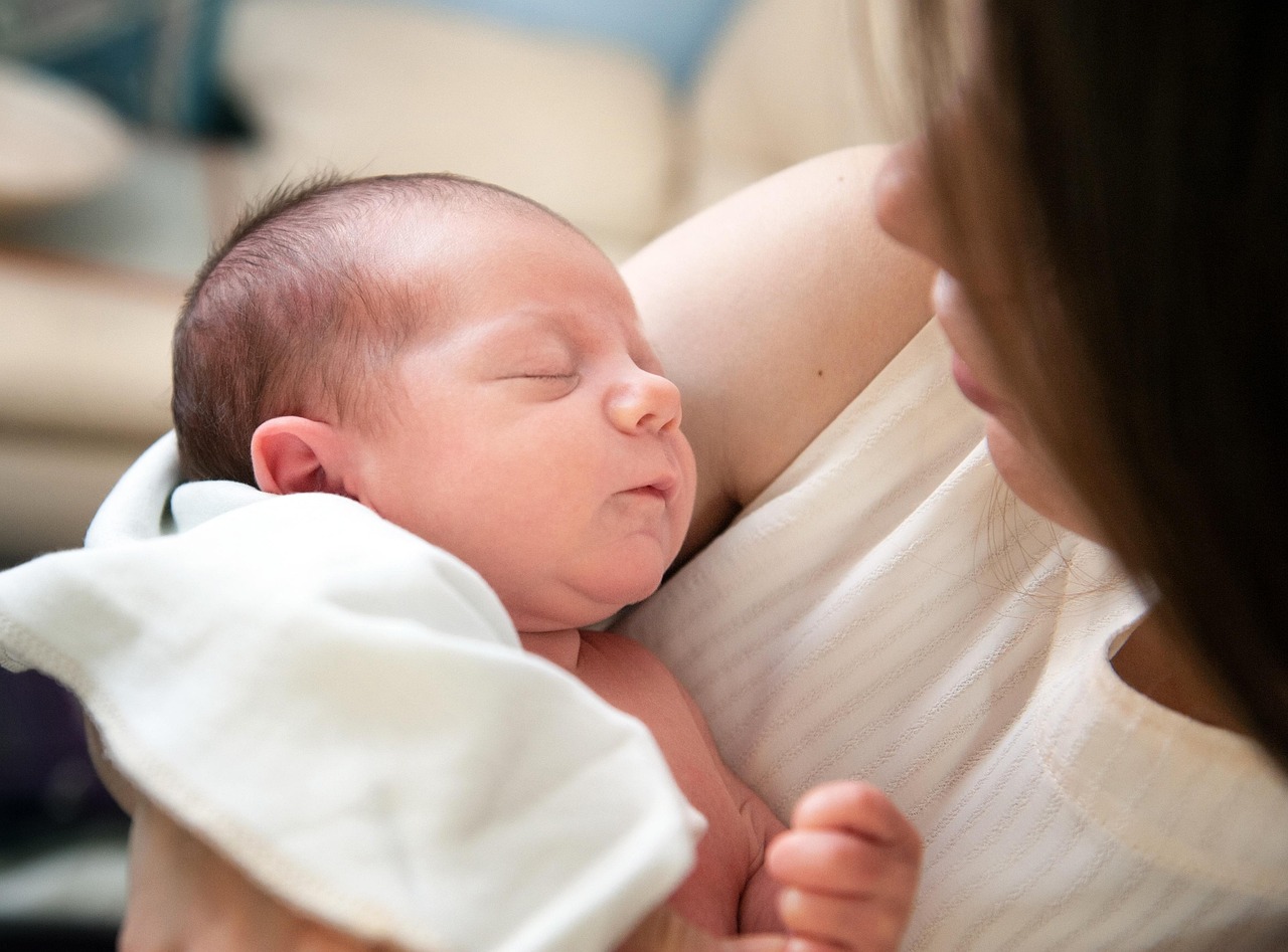 The Nervous System: From the Womb to the World